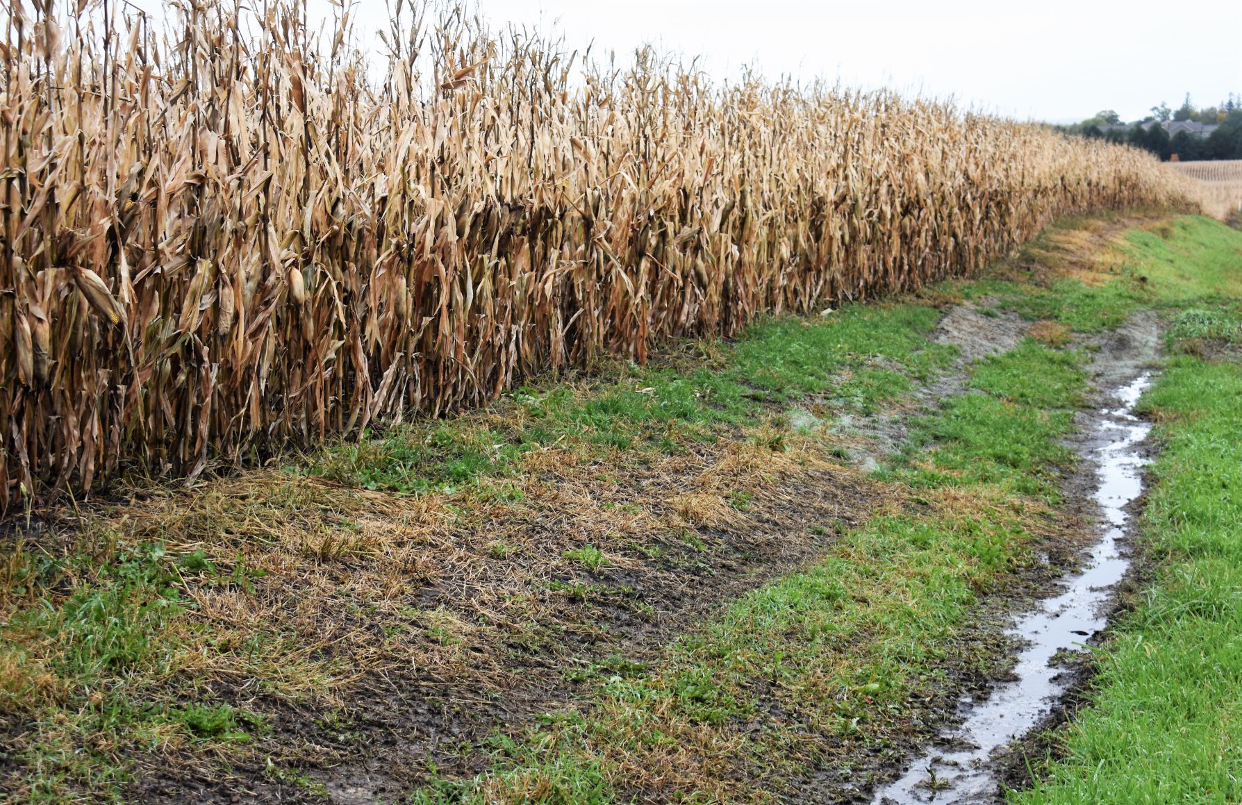 Farm Damage 9
